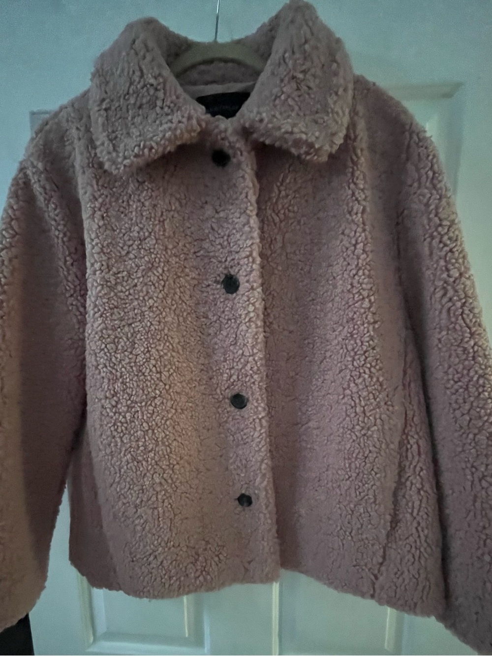 Ann Taylor Plush Teddy Jacket in Mauve
